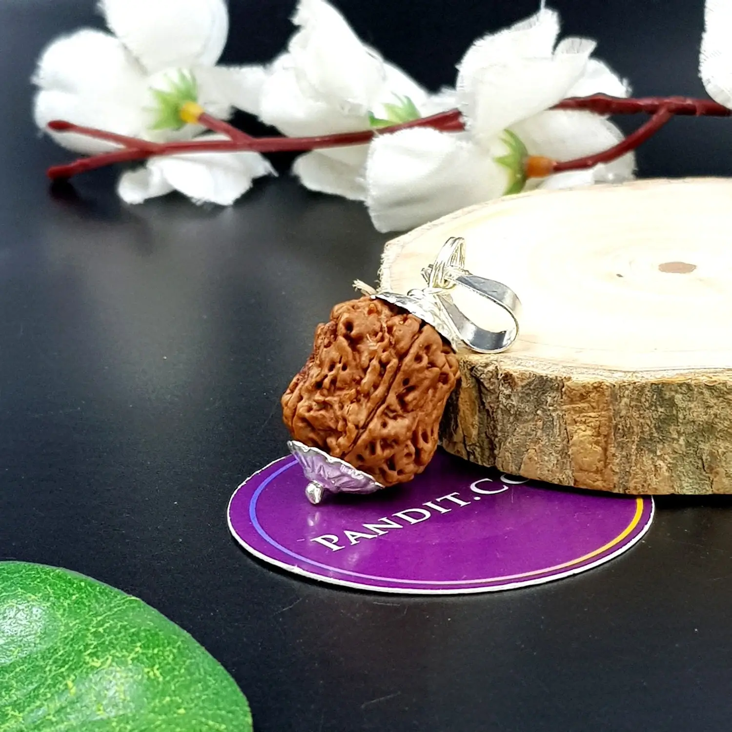 Damru Rudraksha - Super Premium - Image 4