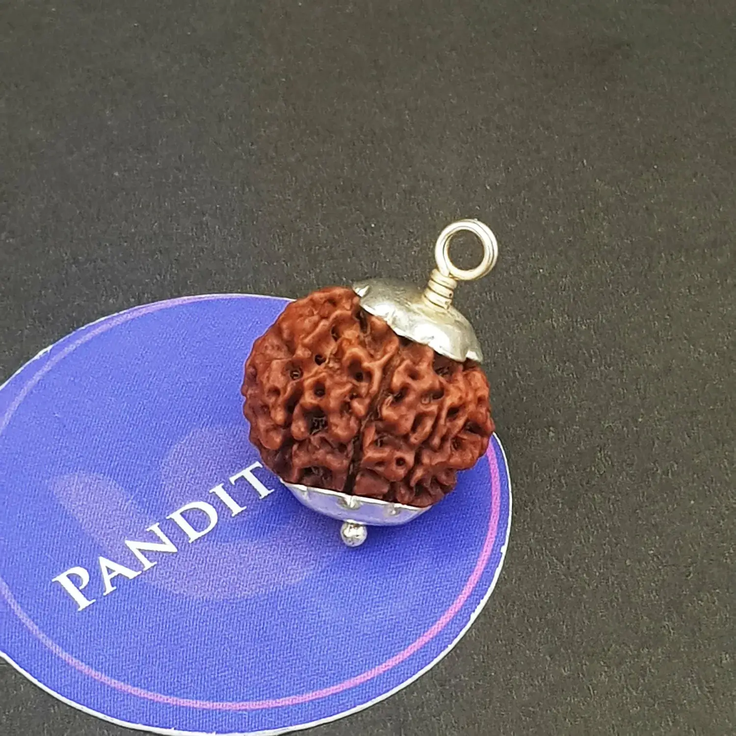 Eight Mukhi Premium Rare Rudraksha - Image 3