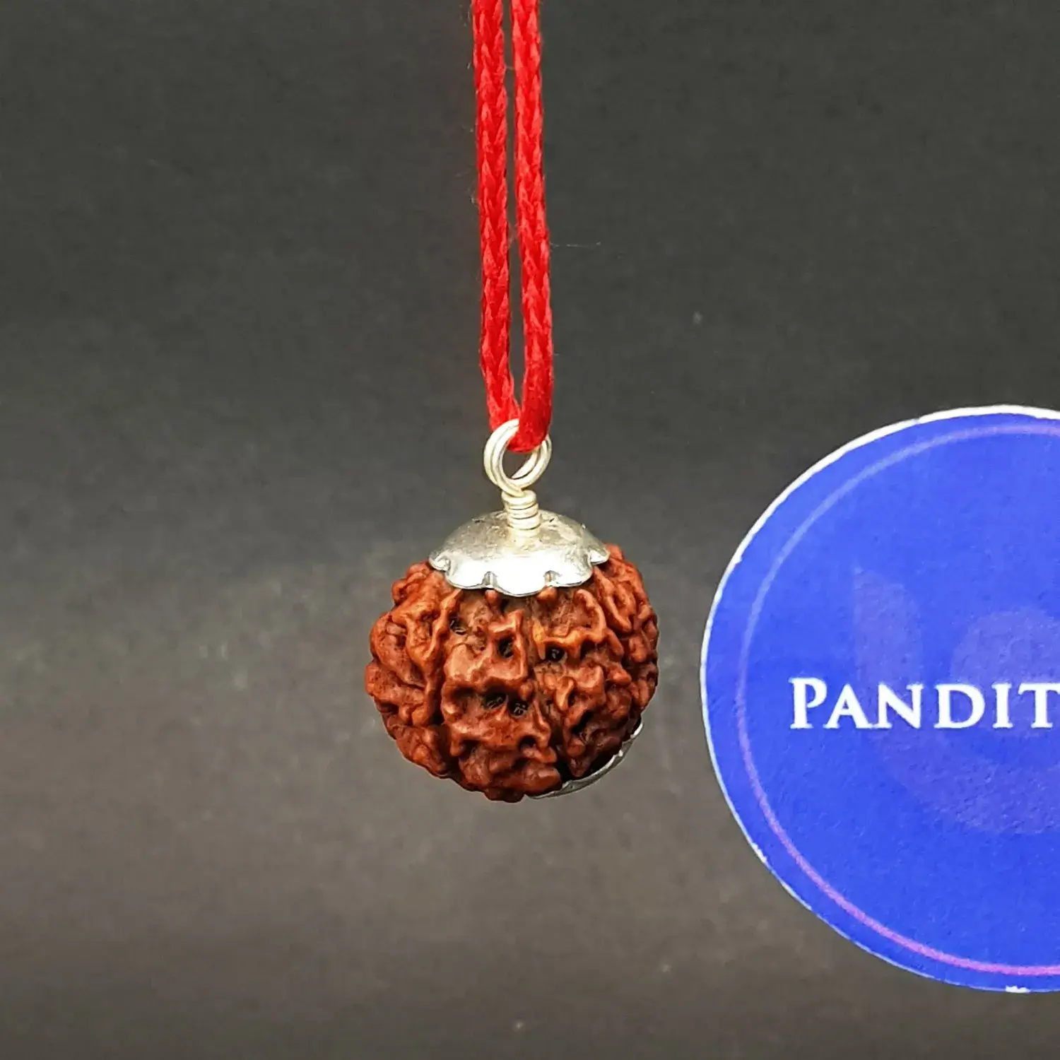 Eight Mukhi Premium Rare Rudraksha - Image 4