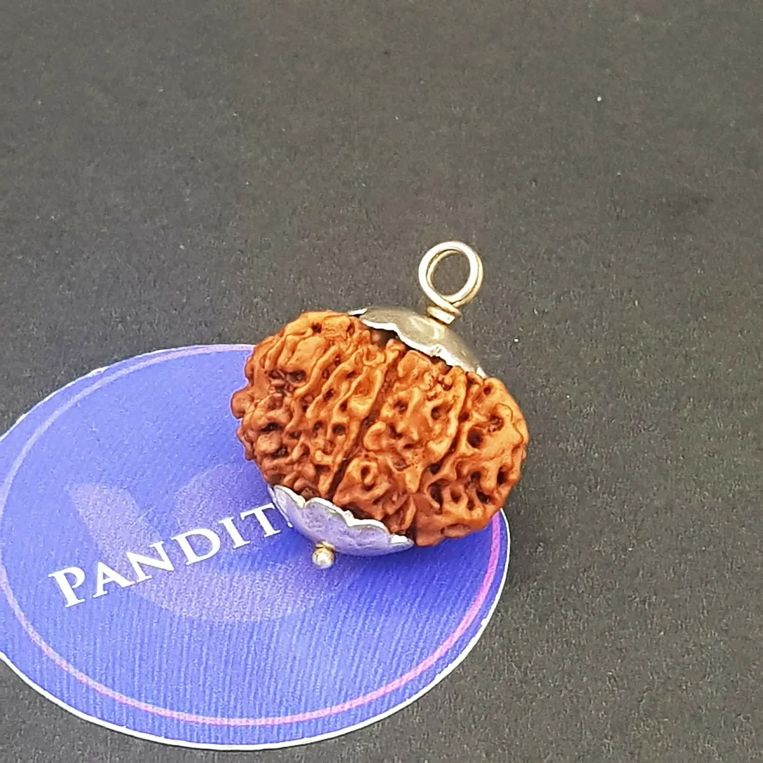 Eleven Mukhi Premium Rare Rudraksha - Image 4