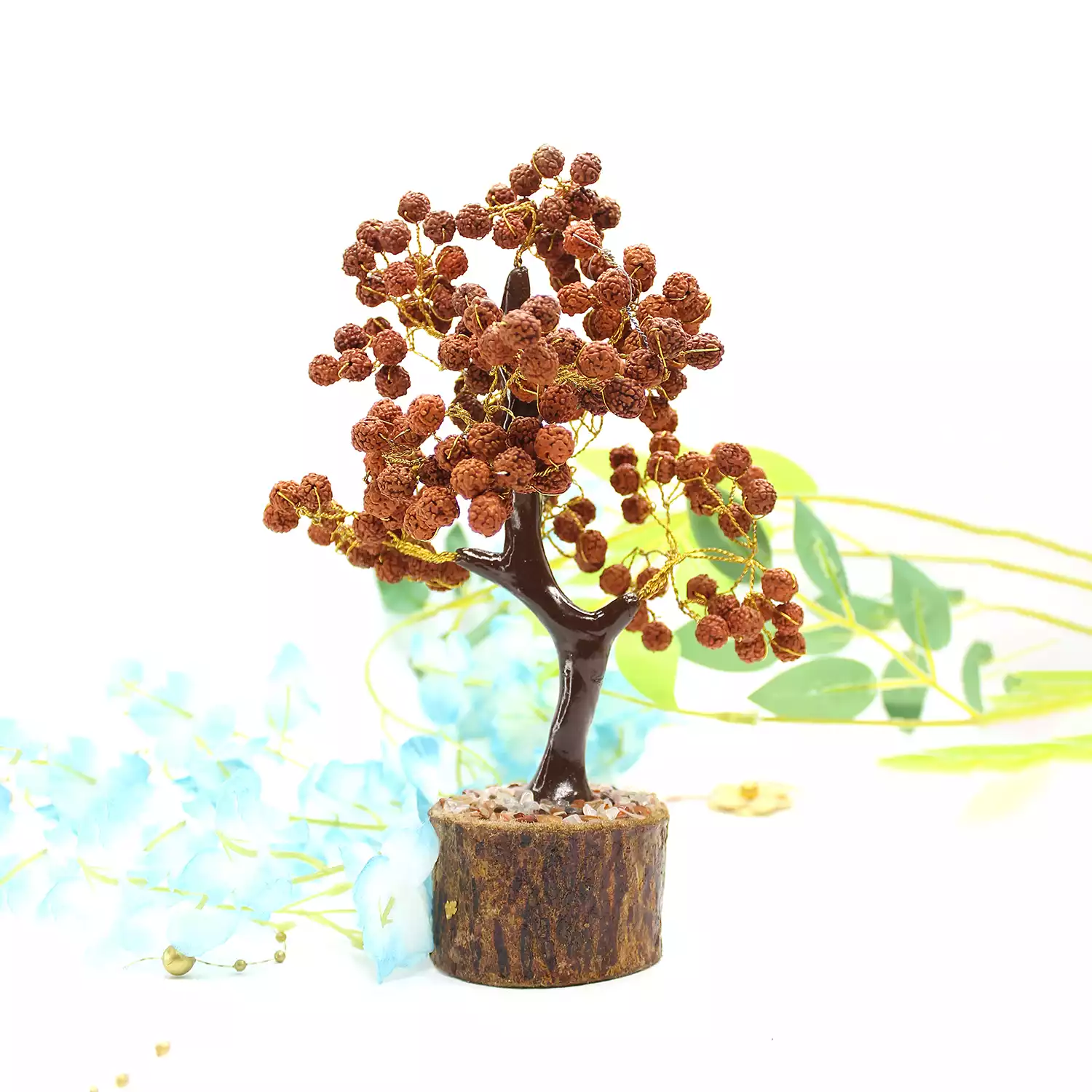 Five Mukhi indonesian Rudraksha Tree - Image 4