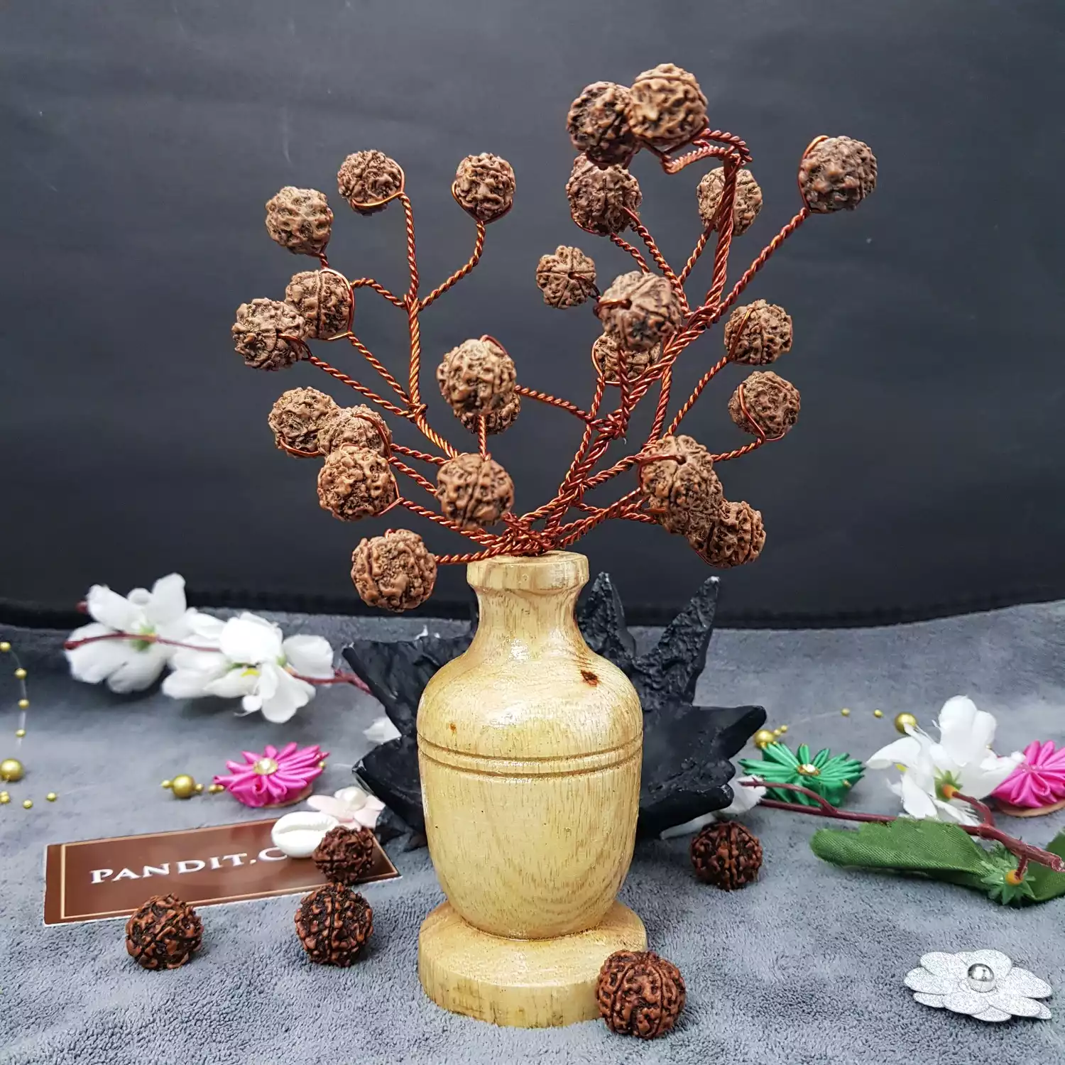 Five Mukhi Nepali Rudraksha Tree