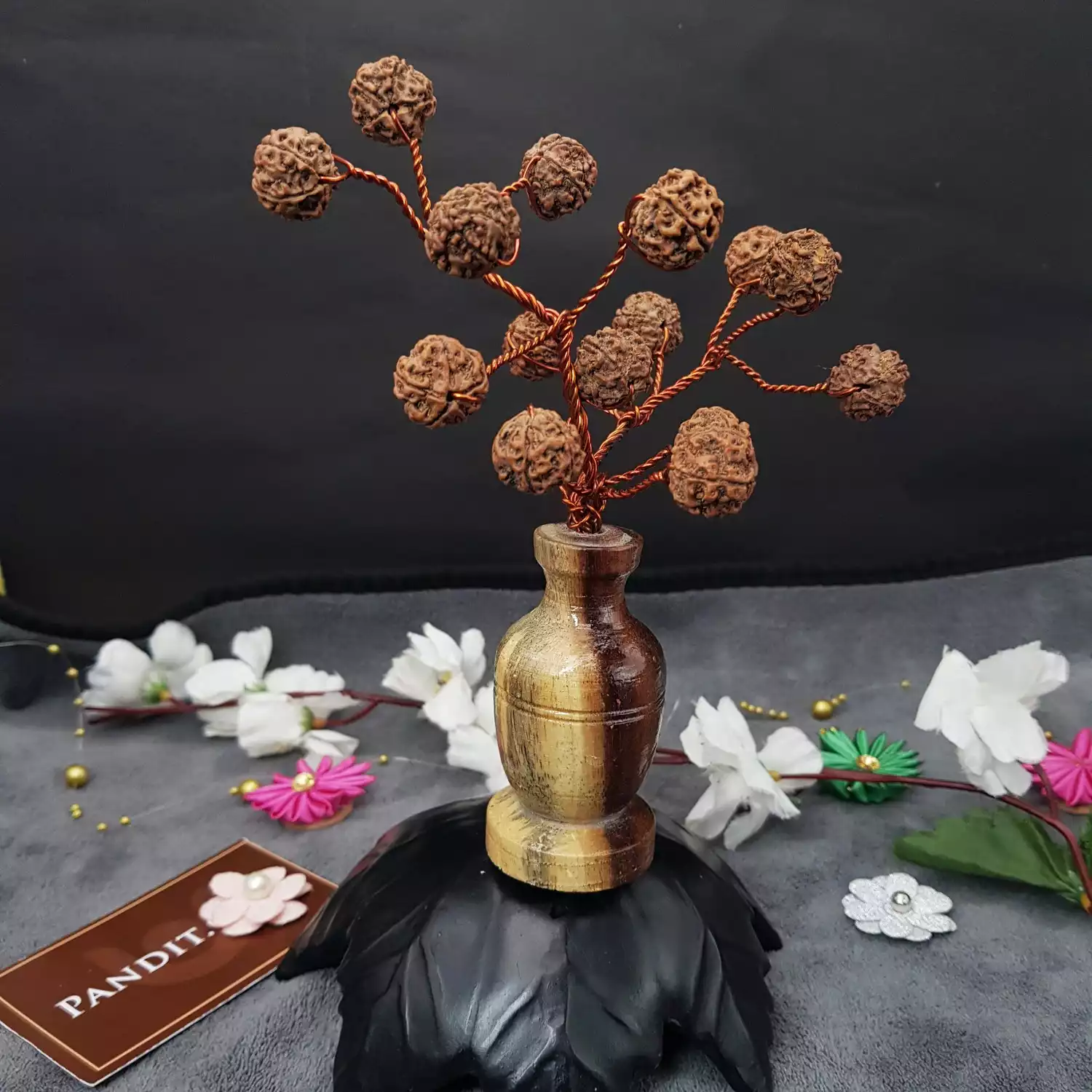 Five Mukhi Nepali Rudraksha Tree - Image 2