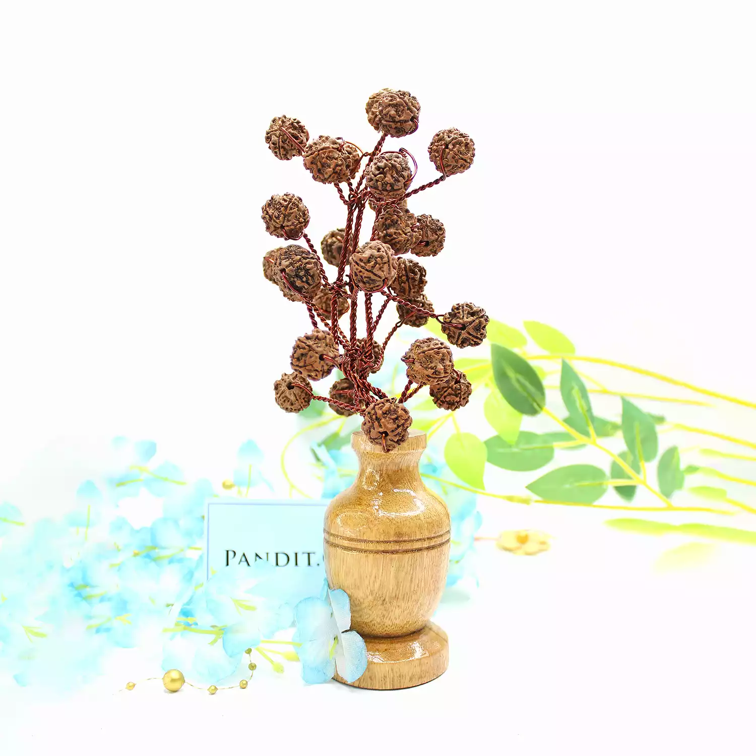 Five Mukhi Nepali Rudraksha Tree - Image 3