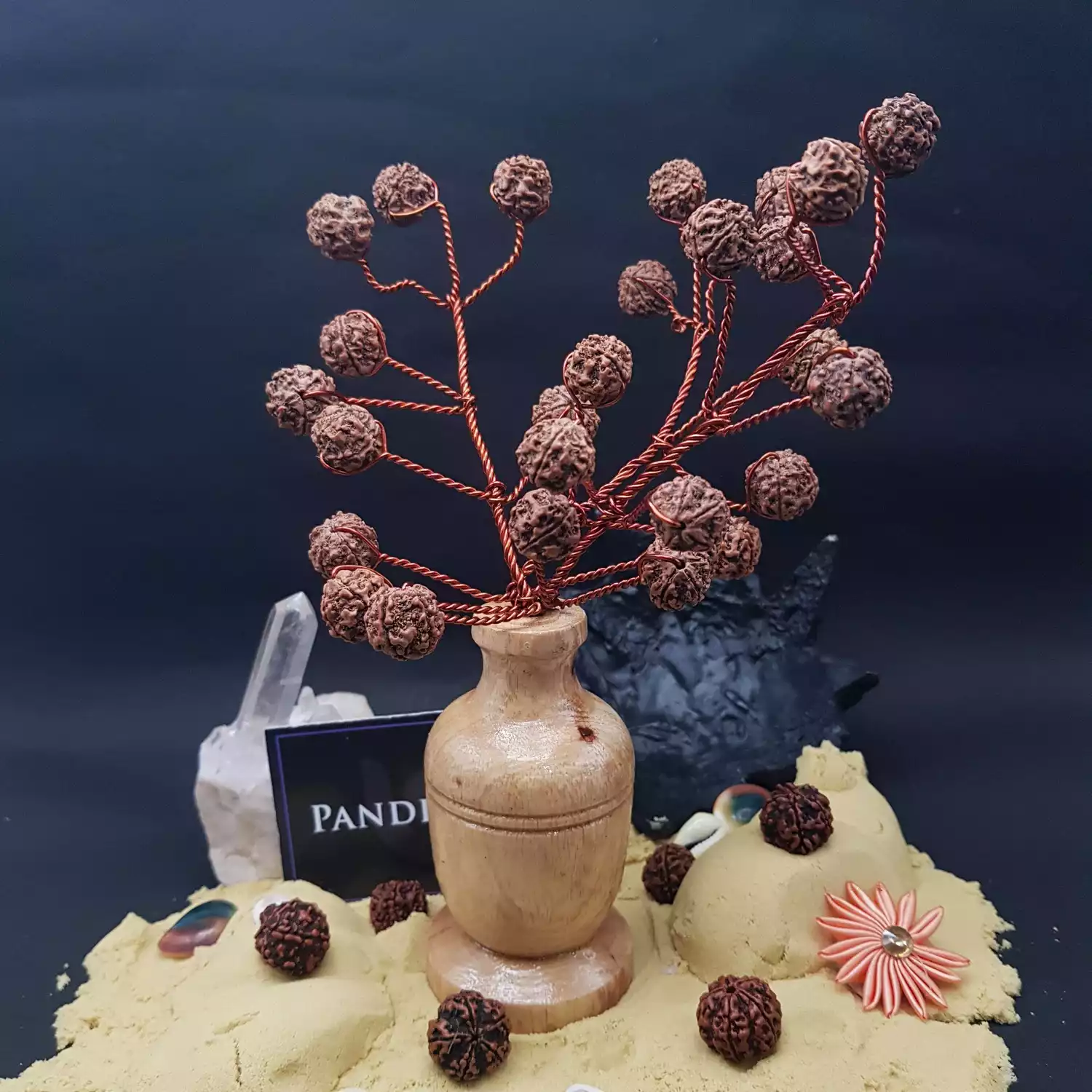 Five Mukhi Nepali Rudraksha Tree - Image 4