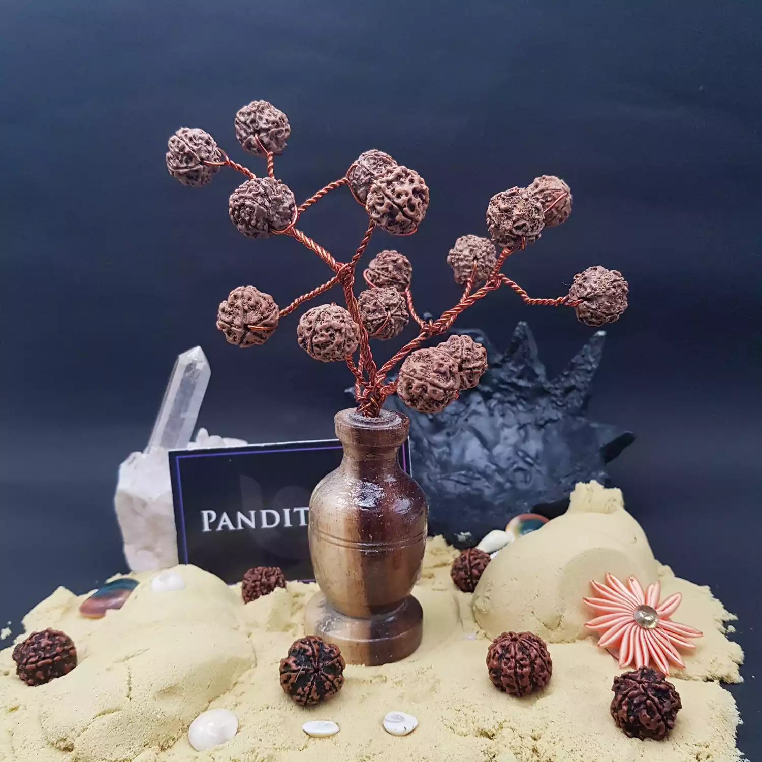 Five Mukhi Nepali Rudraksha Tree - Image 7