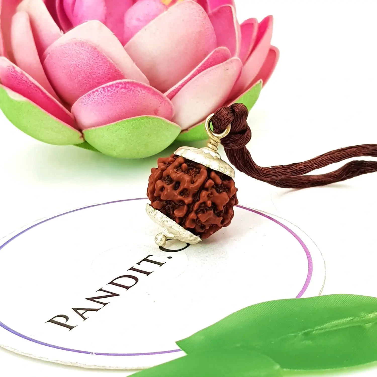 Five Mukhi Premium Rare Rudraksha - Image 3