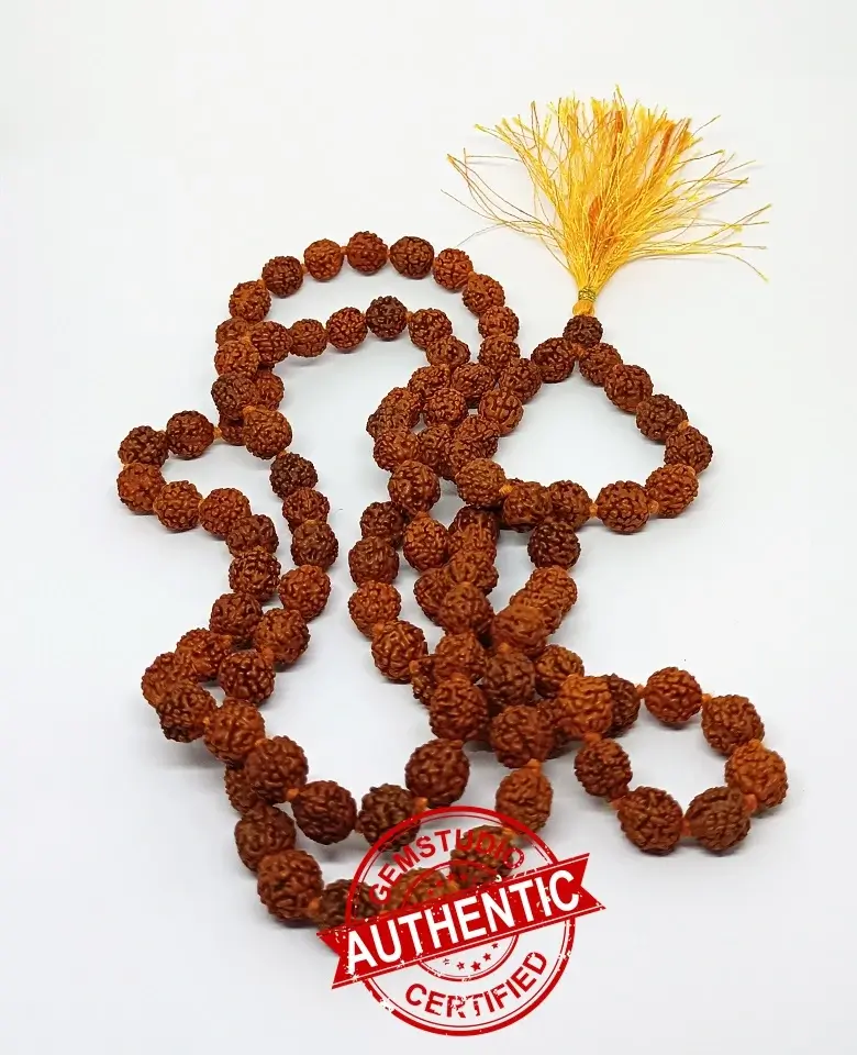 Five Mukhi Rudraksha Mala - To Get Attractive Physique - Image 5