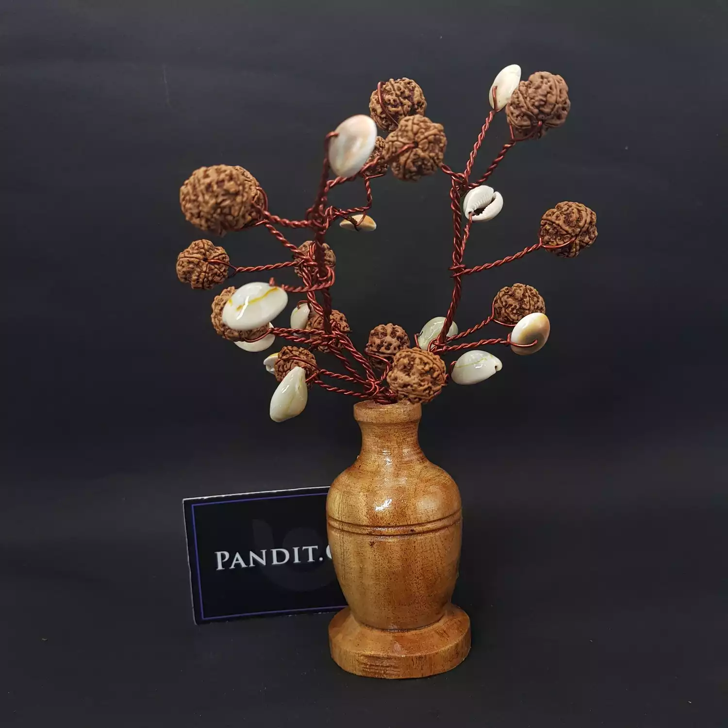 Five Mukhi Rudraksha Tree with Kaudi and Gomti Chakra - Image 4
