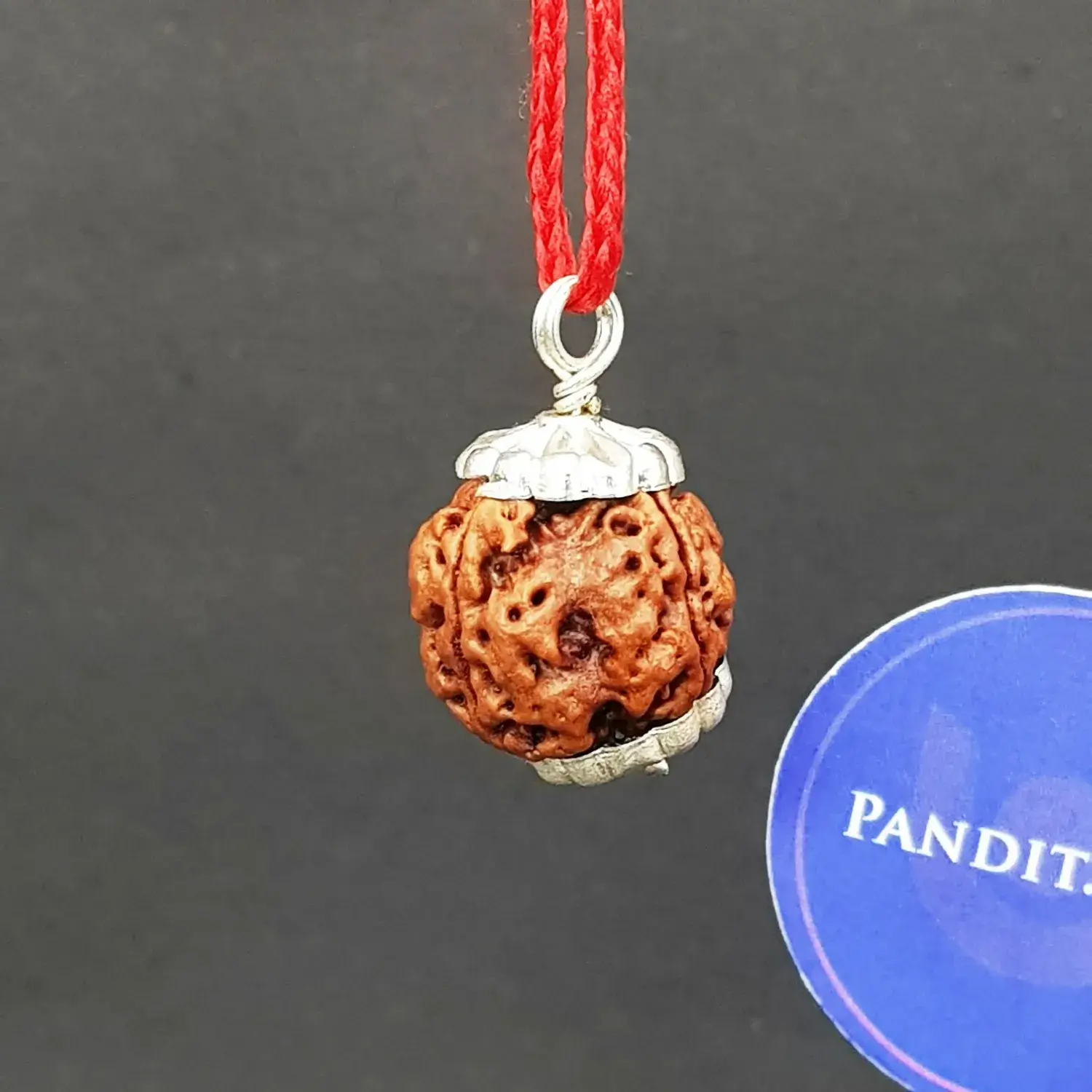 Four Mukhi Premium Rare Rudraksha - Image 3