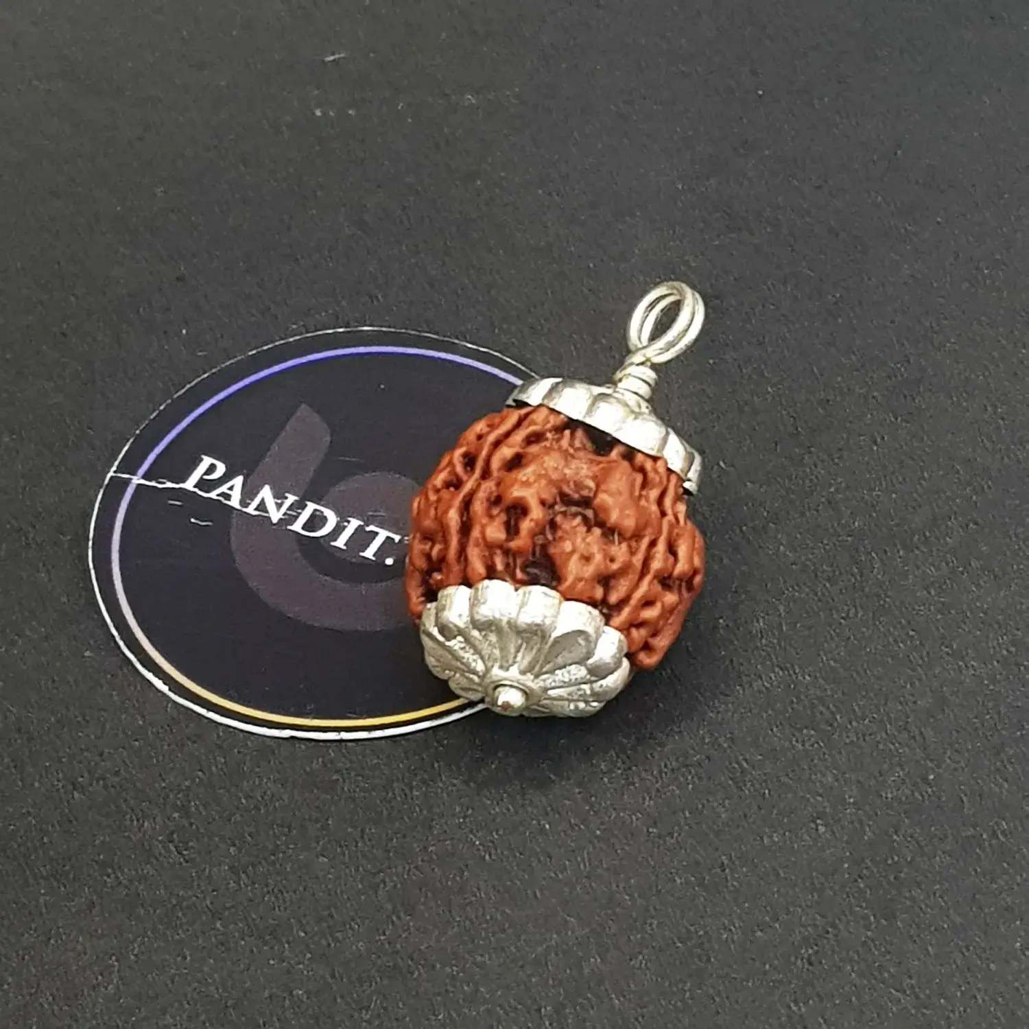 Four Mukhi Premium Rare Rudraksha - Image 4