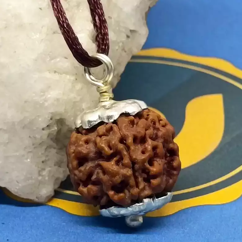 Four Mukhi Premium Rare Rudraksha - Image 6