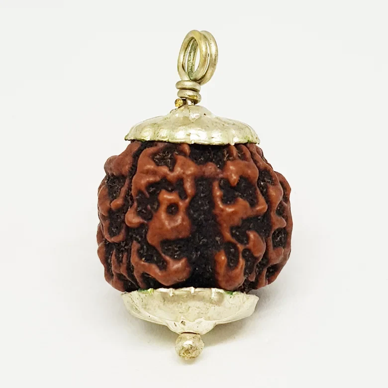 Four Mukhi Premium Rare Rudraksha - Image 7