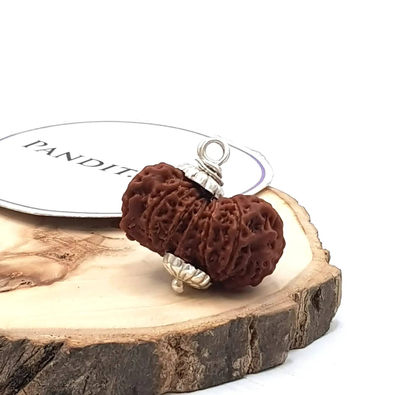 Fourteen Mukhi Premium Rare Rudraksha - Image 3