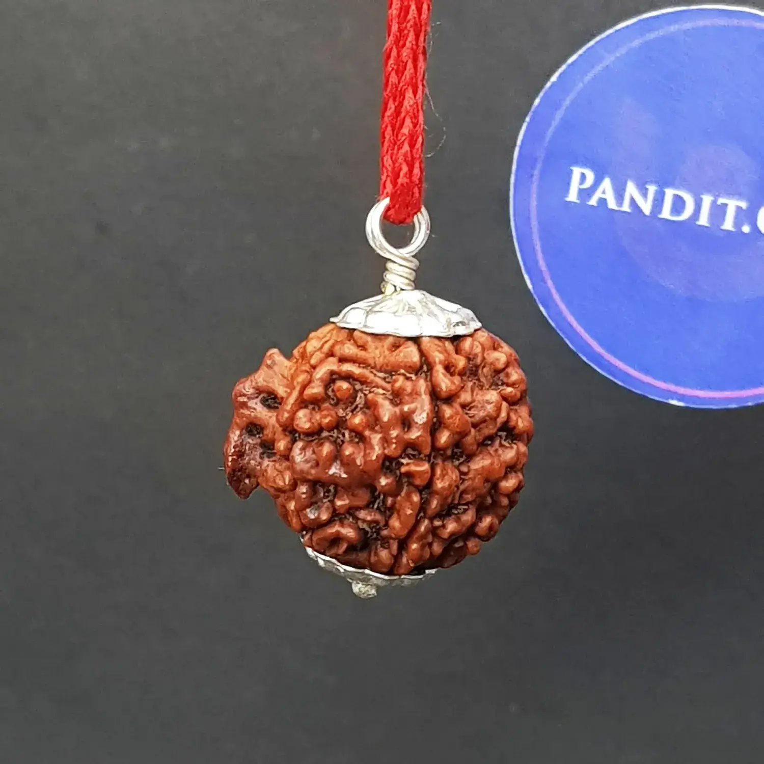 Ganesh Premium Rare Rudraksha - Image 3