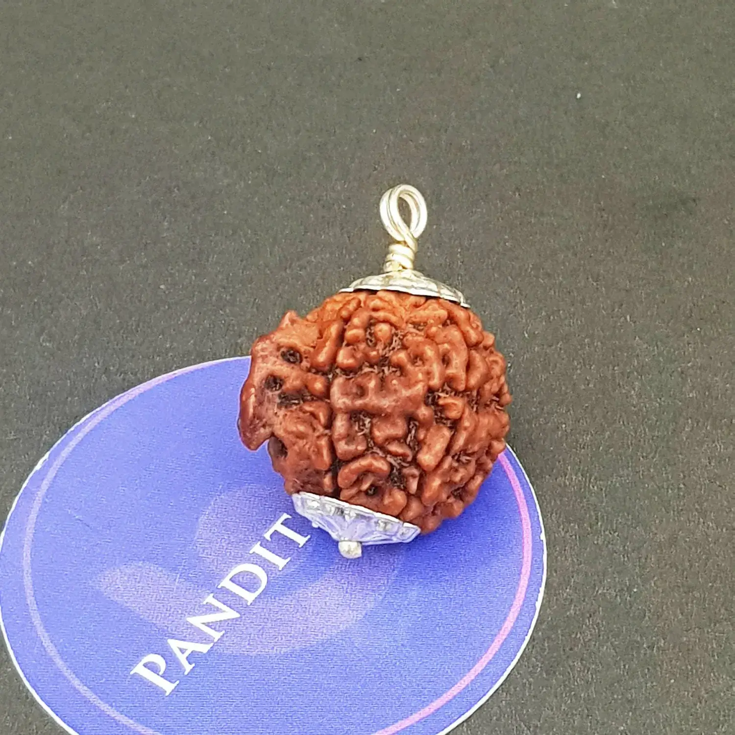 Ganesh Premium Rare Rudraksha - Image 4