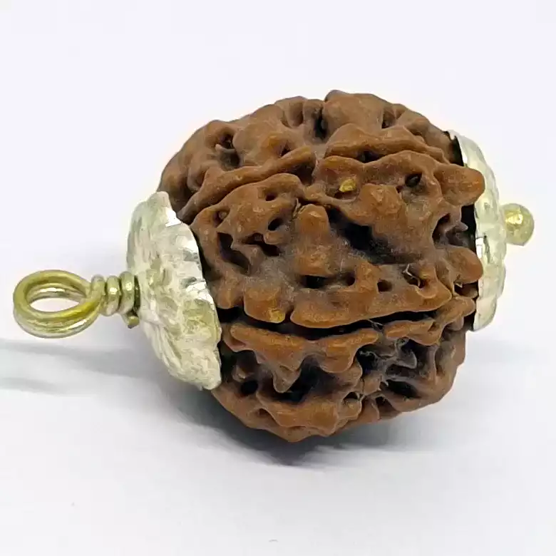 Ganesh Premium Rare Rudraksha - Image 5