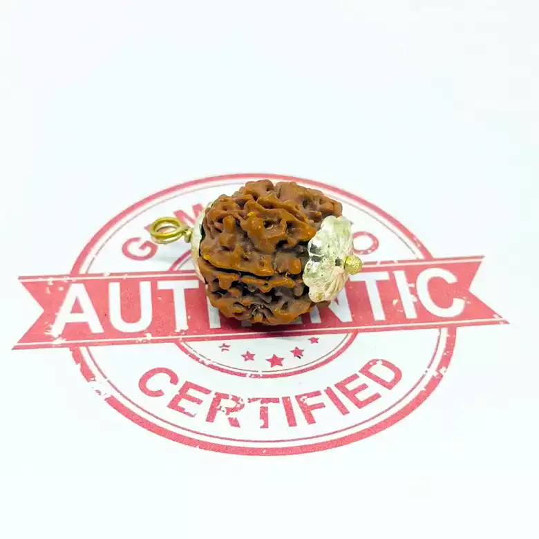 Ganesh Premium Rare Rudraksha - Image 6