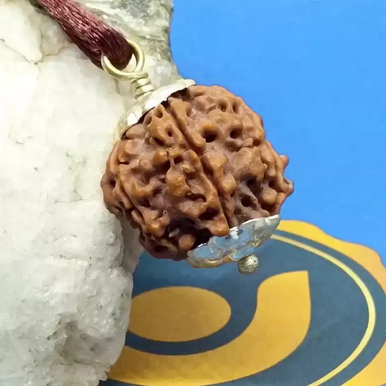 Ganesh Premium Rare Rudraksha - Image 7