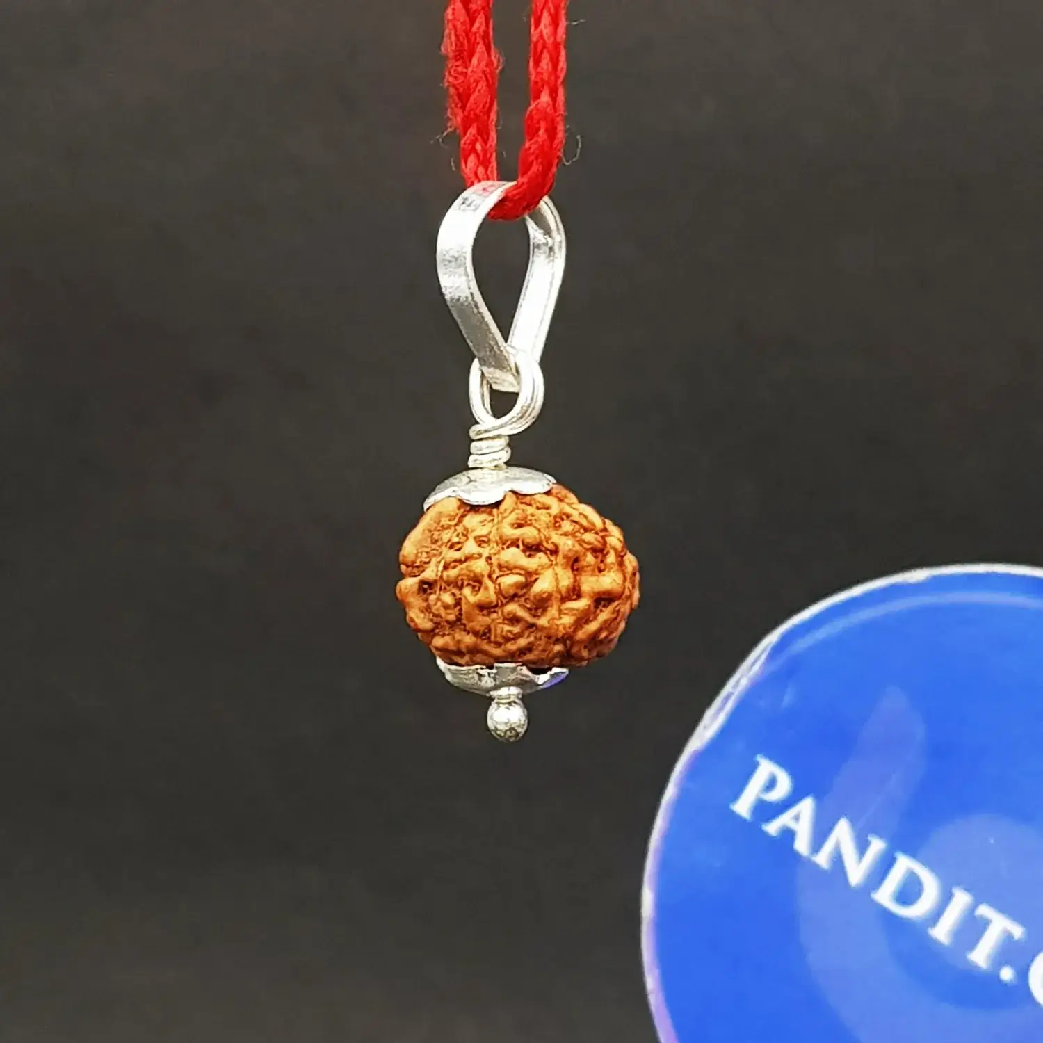Ganesh Rudraksha - Indonesia - Image 4