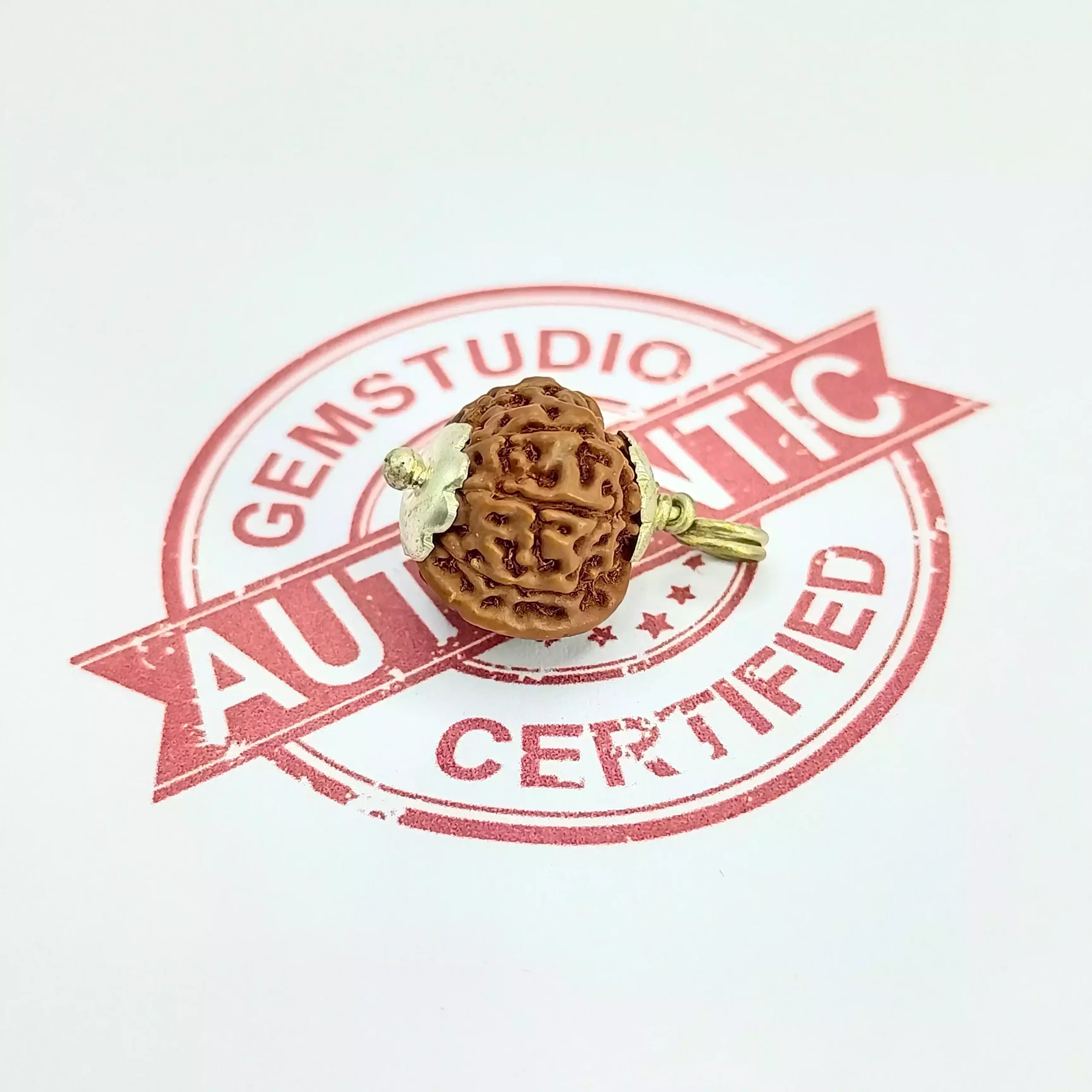 Ganesh Rudraksha - Indonesia - Image 5
