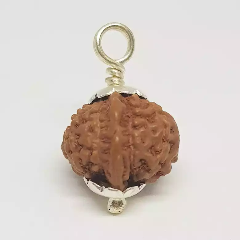 Ganesh Rudraksha - Indonesia - Image 7
