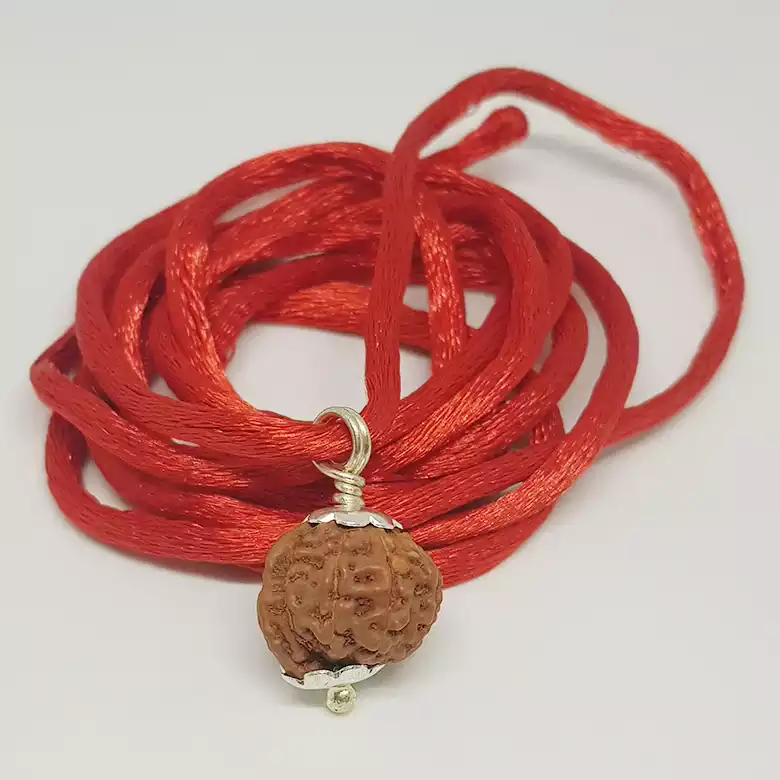 Ganesh Rudraksha - Indonesia - Image 9