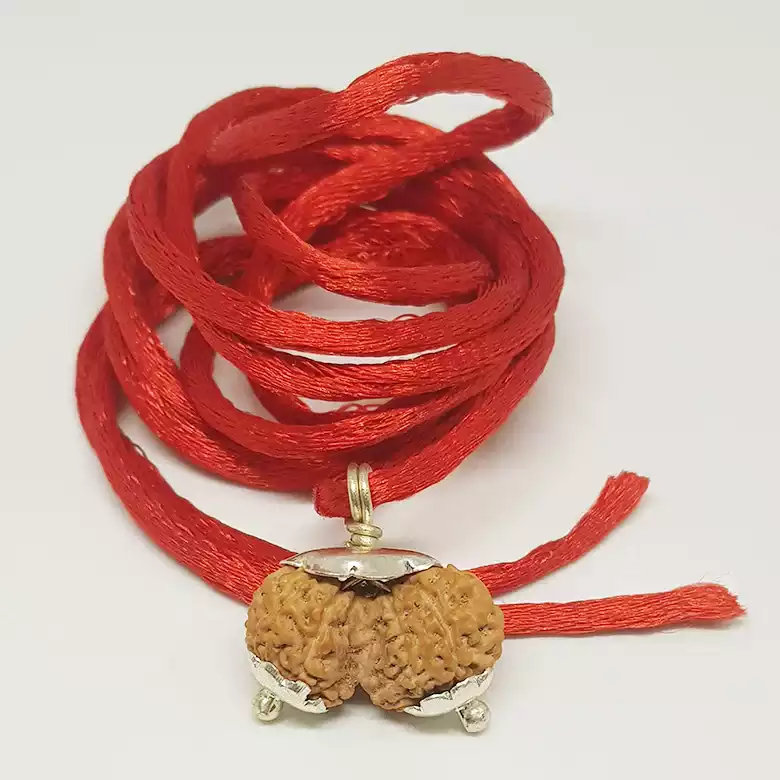 Gauri Shankar Rudraksha - Indonesia - Image 10