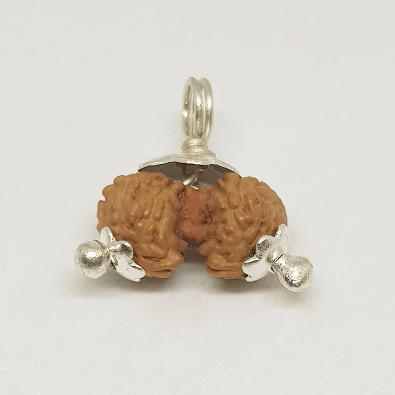 Gauri Shankar Rudraksha - Indonesia - Image 16