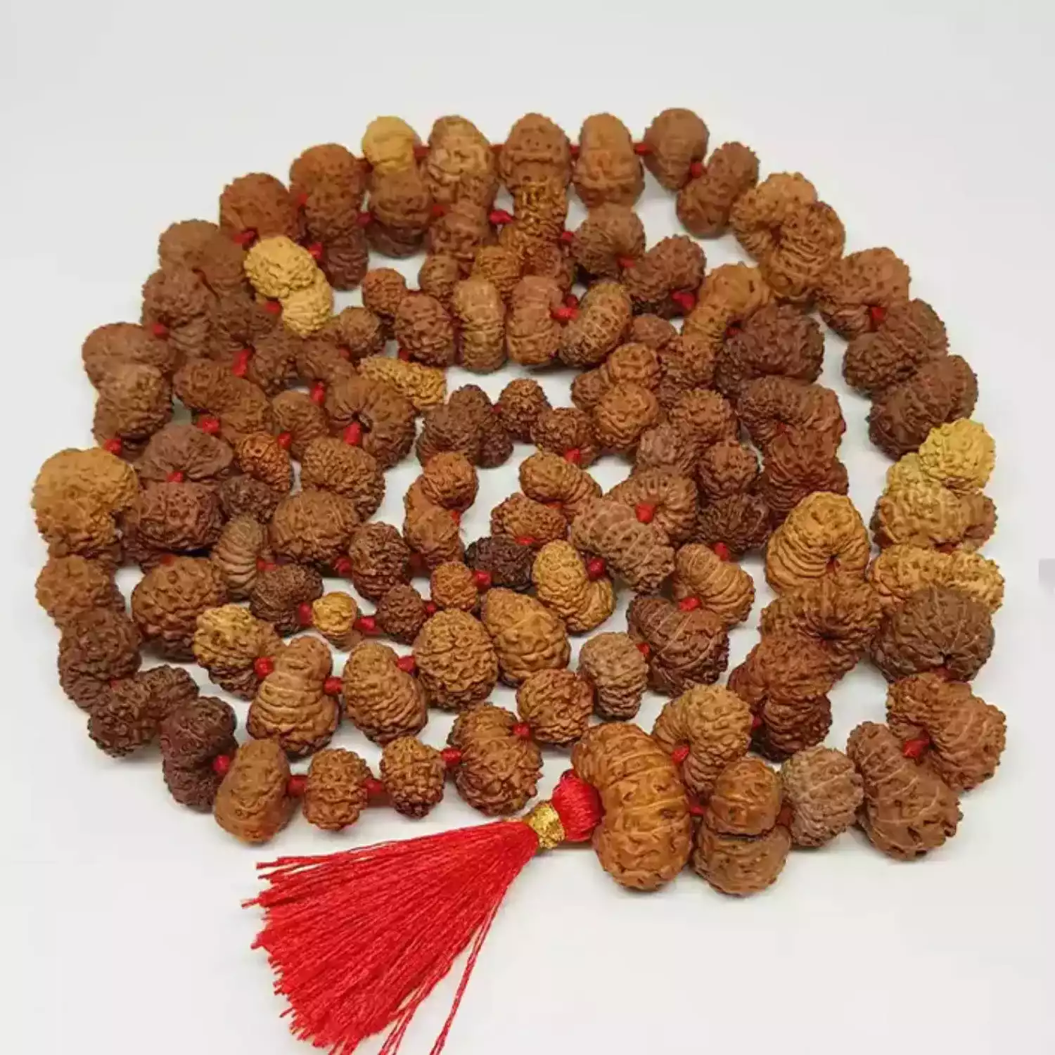 Gauri Shankar Indonesia Rudraksha Mala - To Cut Karmic Debts