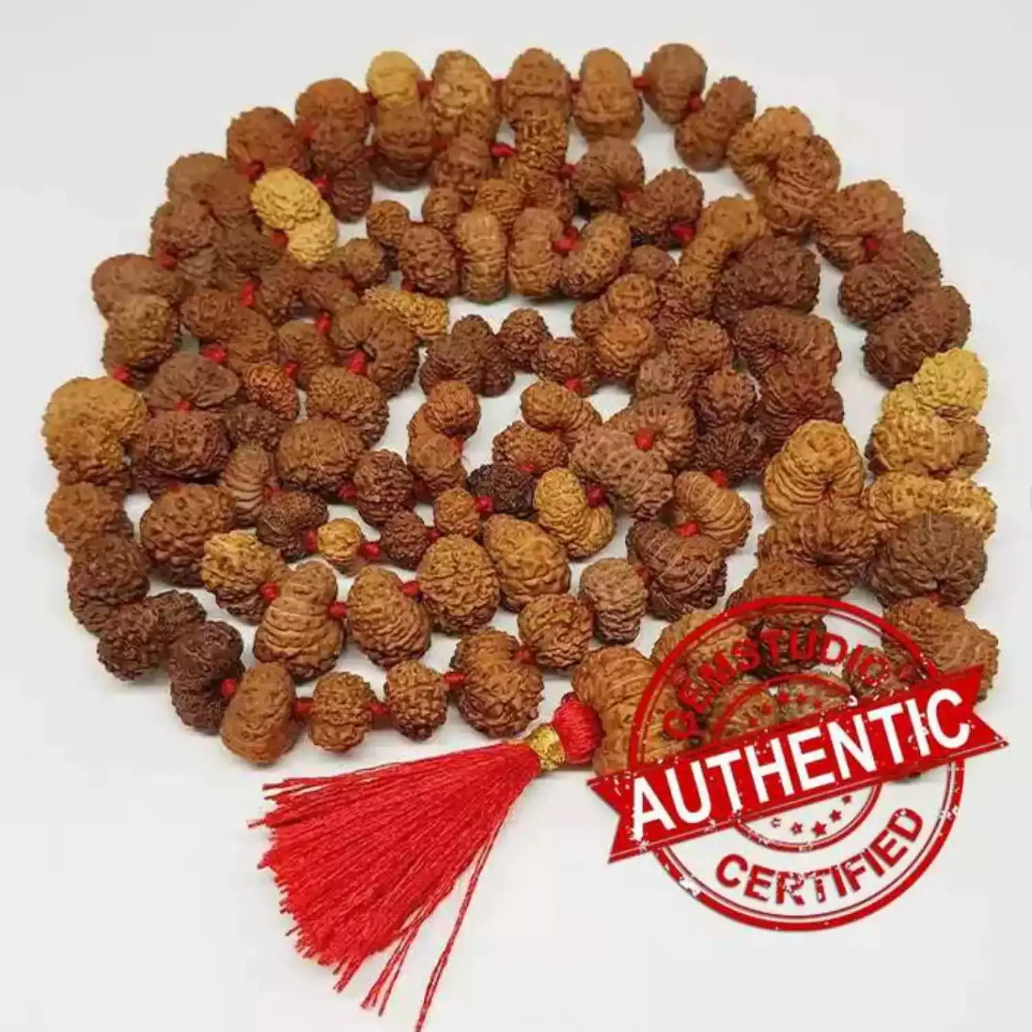 Gauri Shankar Indonesia Rudraksha Mala - To Cut Karmic Debts - Image 2