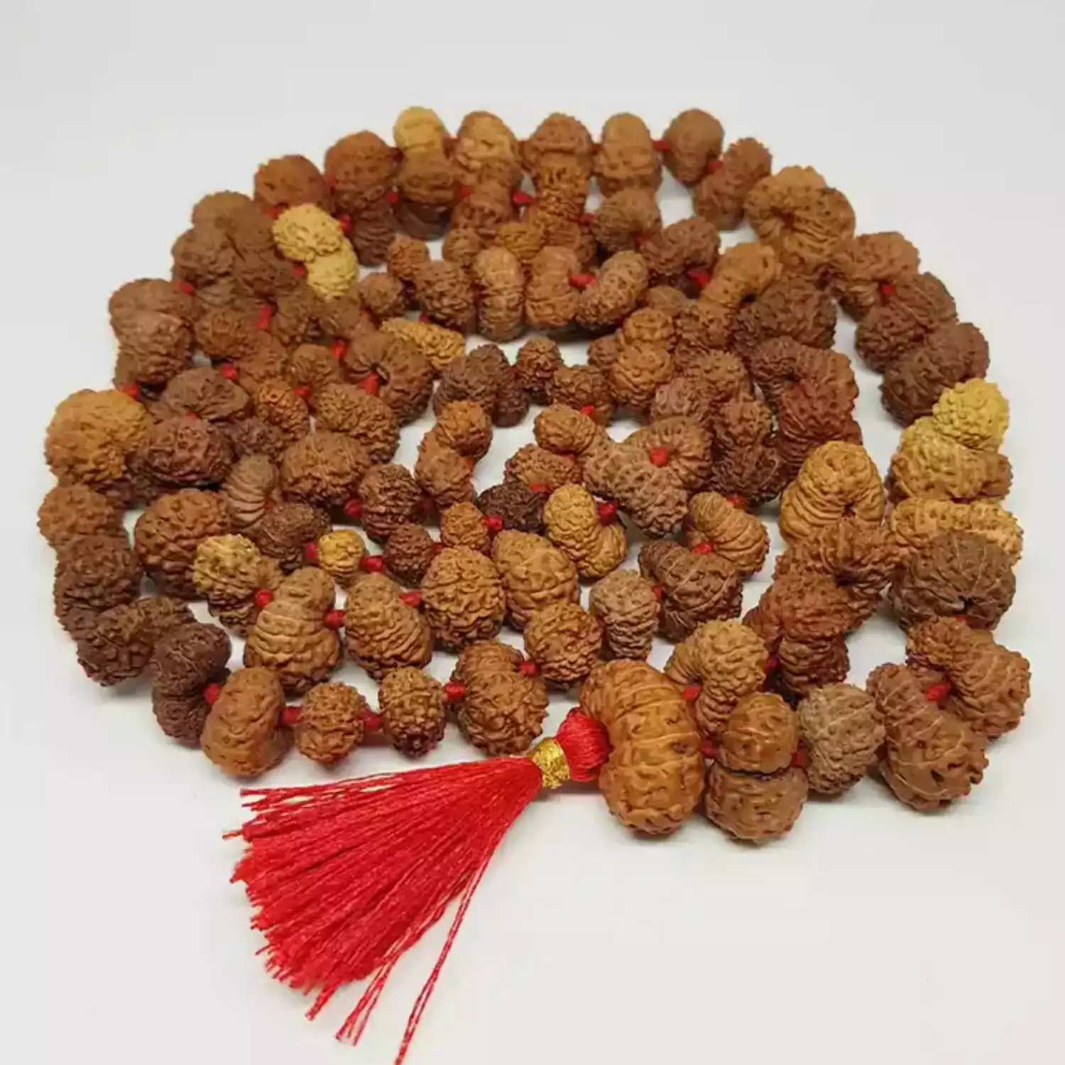 Gauri Shankar Indonesia Rudraksha Mala - To Cut Karmic Debts - Image 3