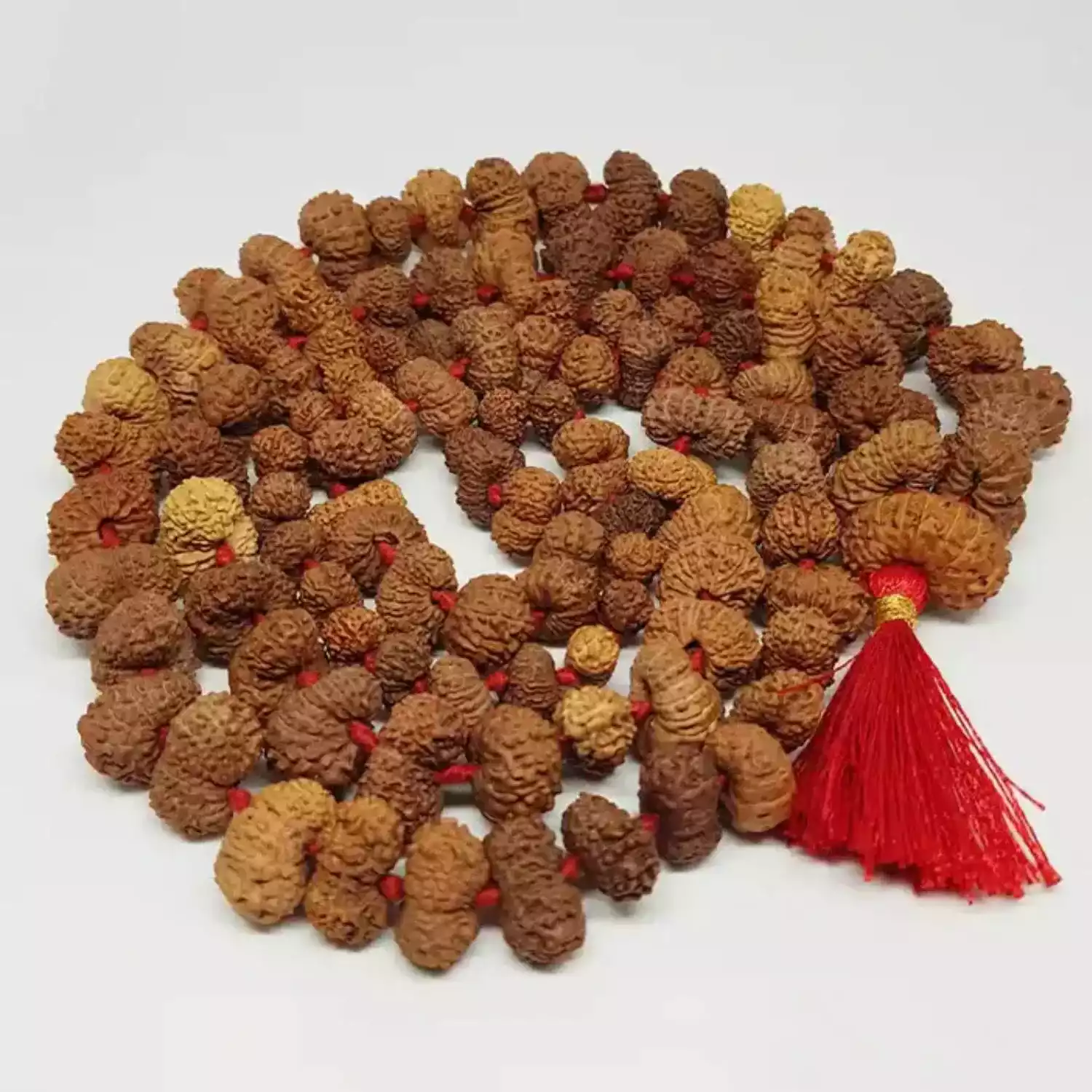 Gauri Shankar Indonesia Rudraksha Mala - To Cut Karmic Debts - Image 5