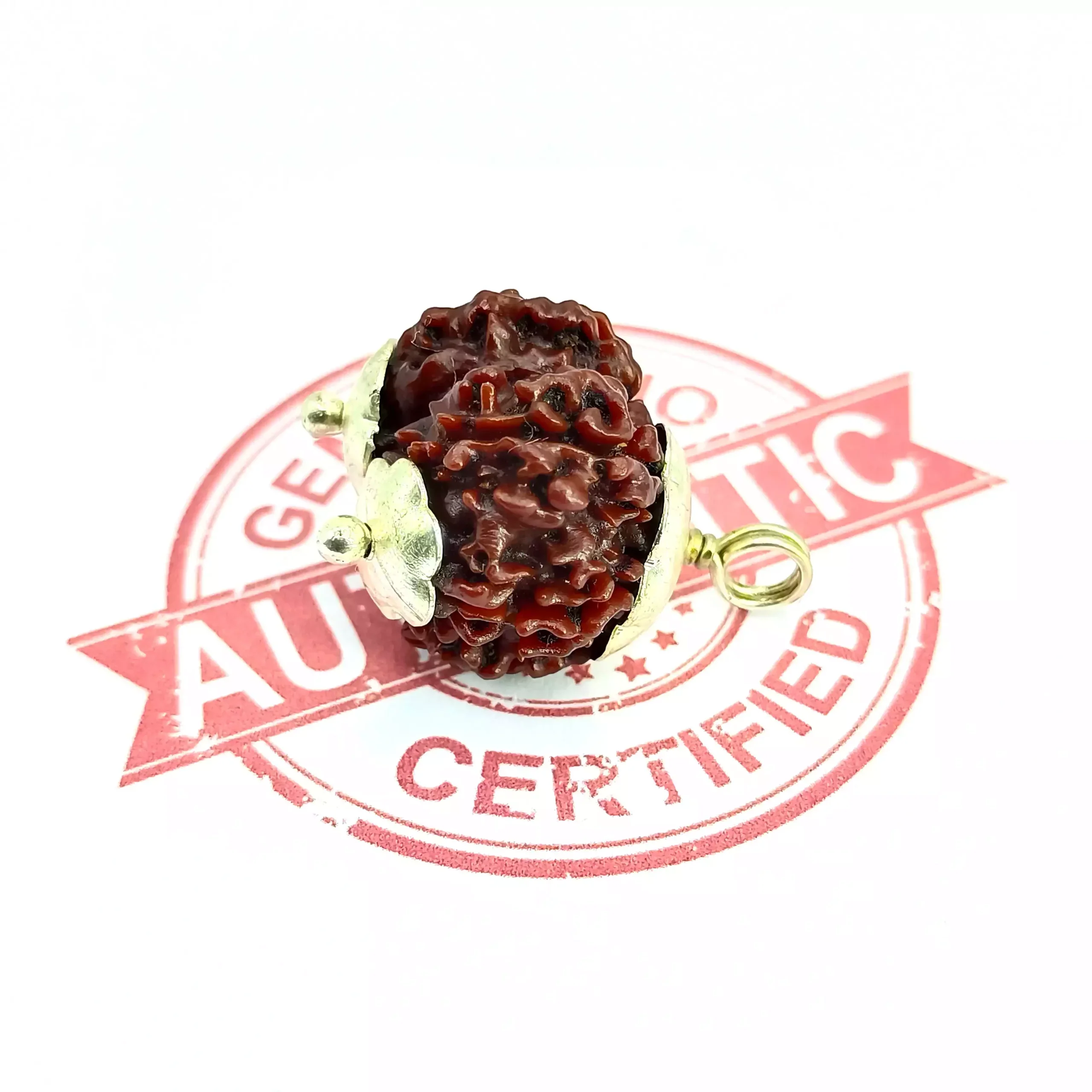 Gauri Shankar Rudraksha - Nepal - Image 3