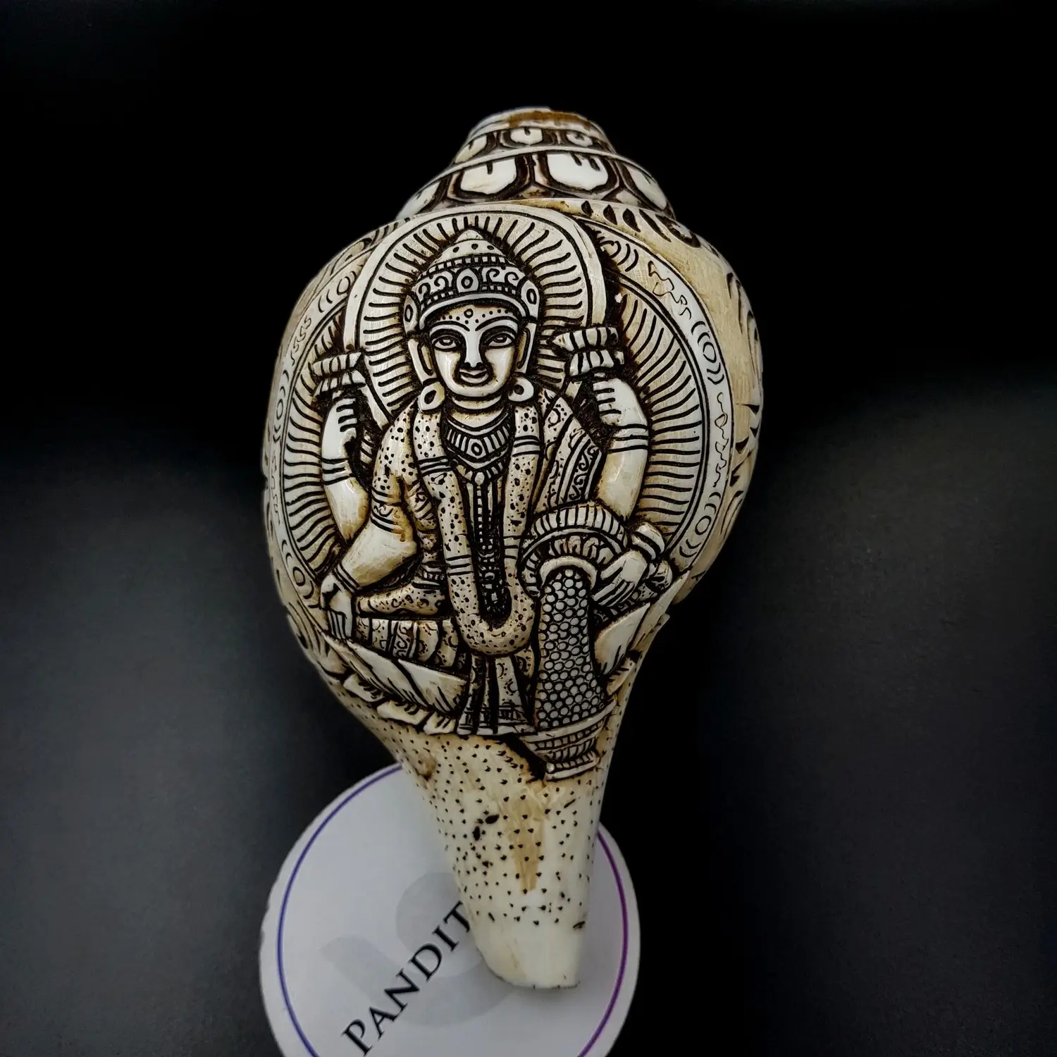 Goddess Lakshmi Carved Shankh - Image 4