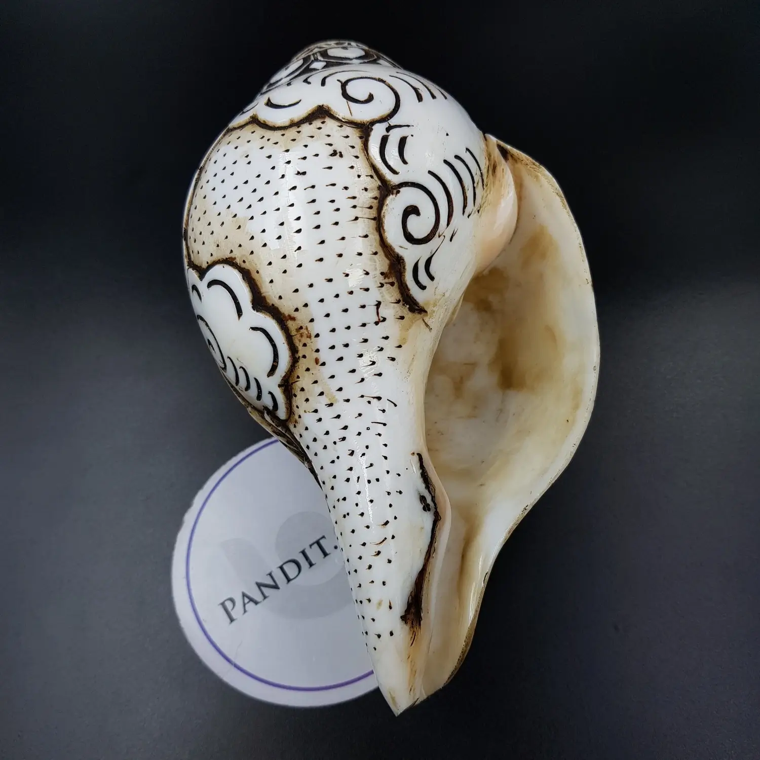 Goddess Saraswati Carved Shankh - Image 3