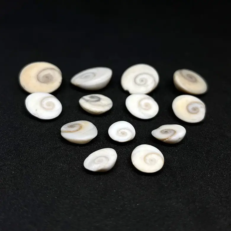 Gomti Chakra - Small - Image 3