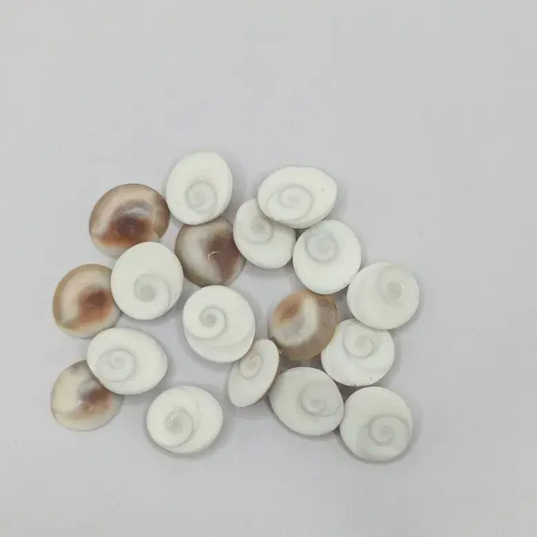Gomti Chakra - Small - Image 5