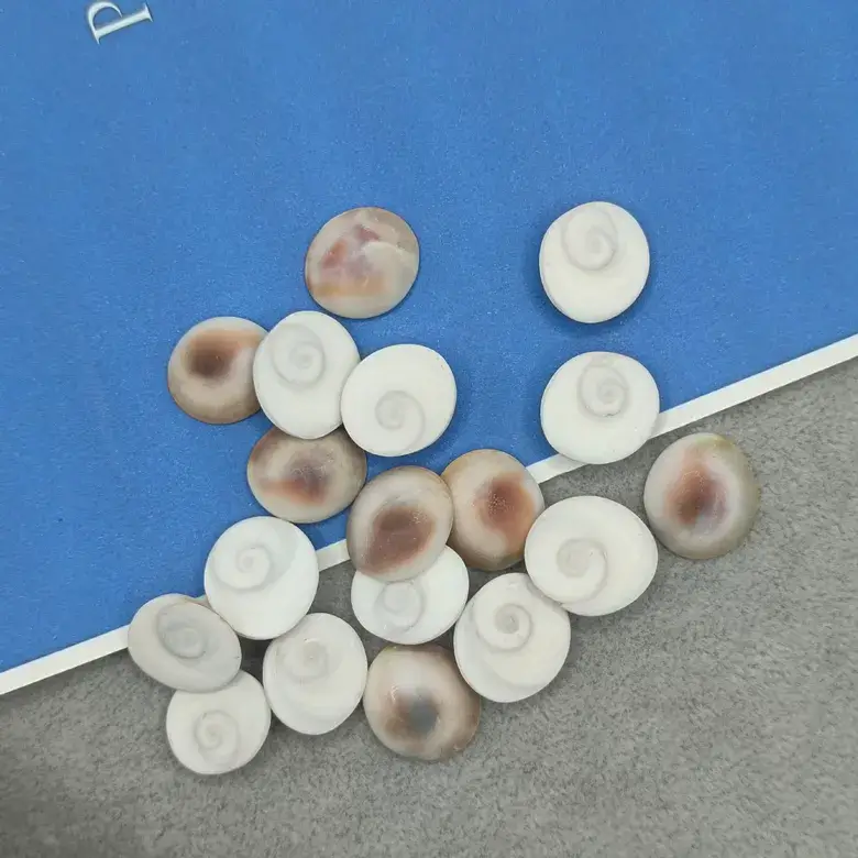 Gomti Chakra - Small - Image 6