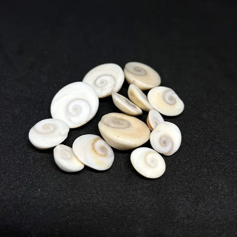 Gomti Chakra - Small - Image 8