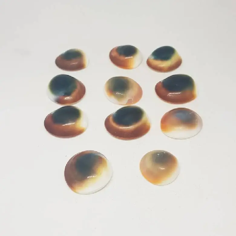 Gomti Chakra for Evil Eye - Image 4