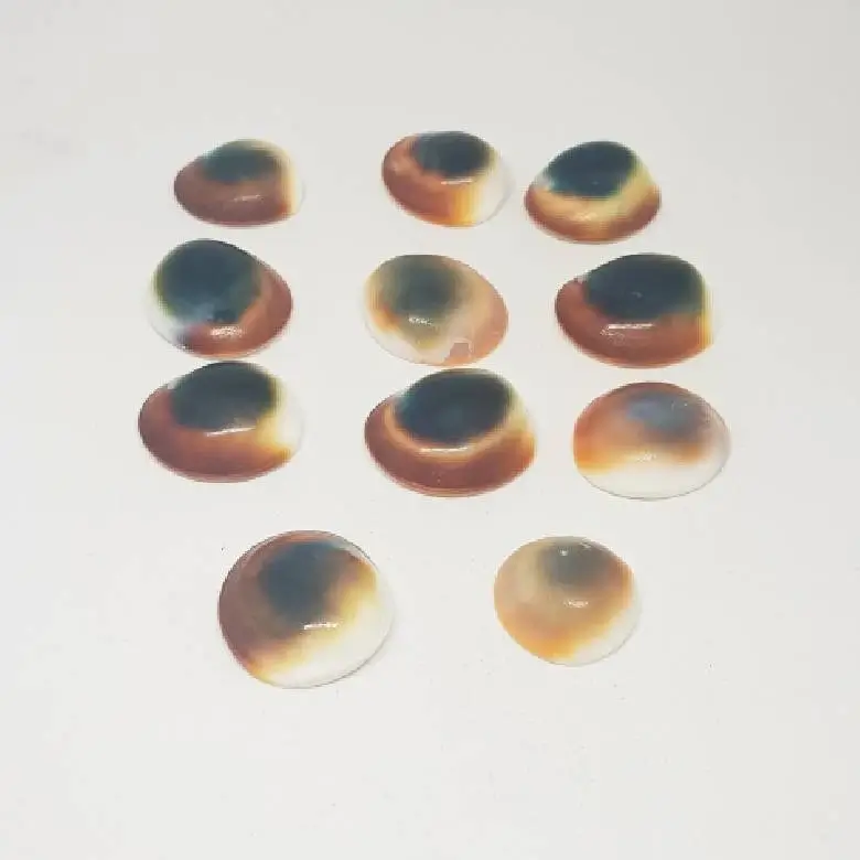 Gomti Chakra for Evil Eye - Image 5
