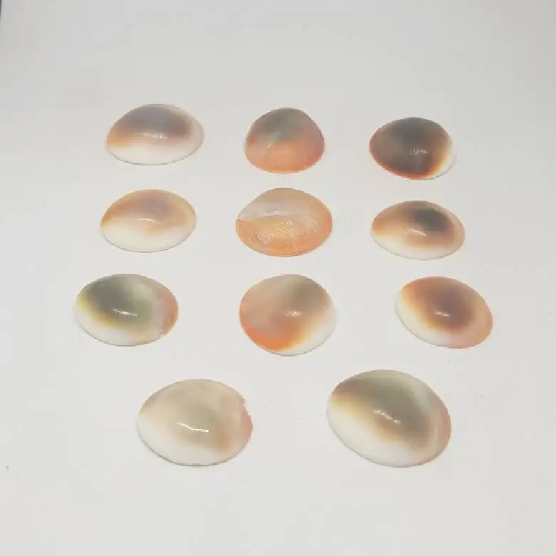 Gomti Chakra for Money - Image 3