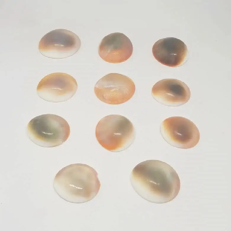 Gomti Chakra for Money - Image 4