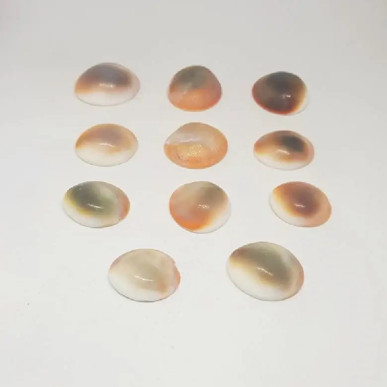 Gomti Chakra for Money - Image 5