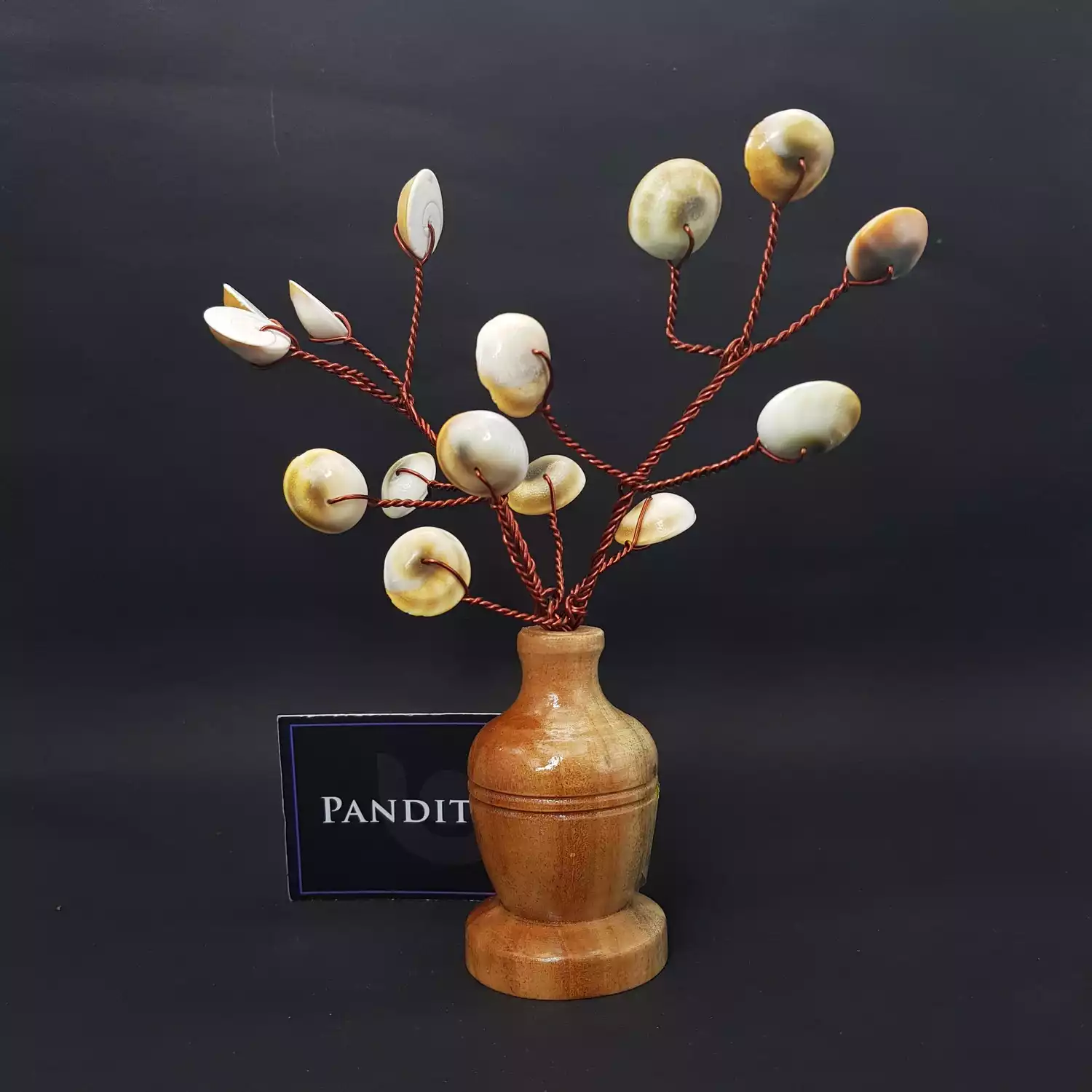 Gomti Chakra Tree - Image 4