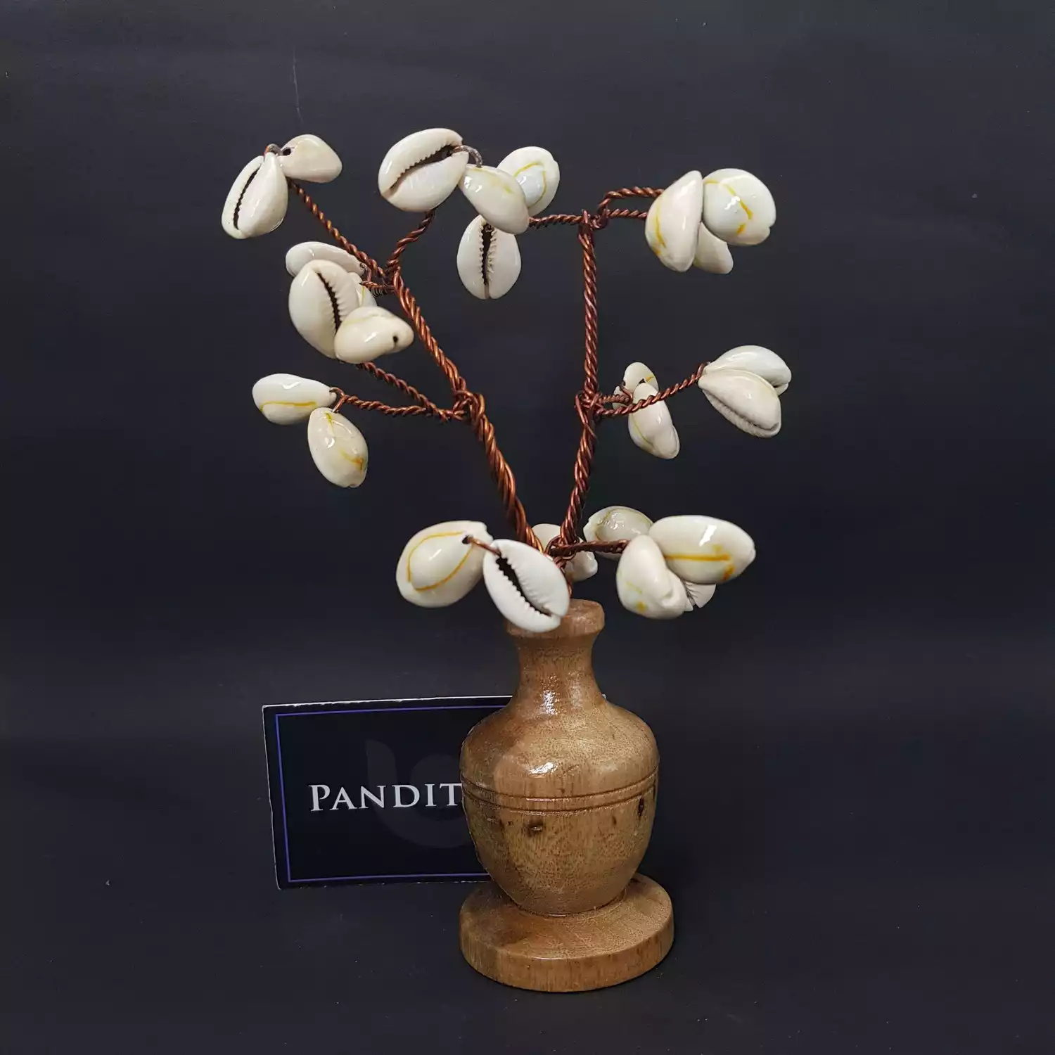 Grey Kaudi Tree - Image 6
