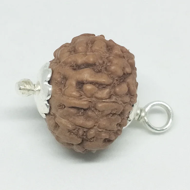 Kaal Sarp Dosh Nivaran Kit - Image 6