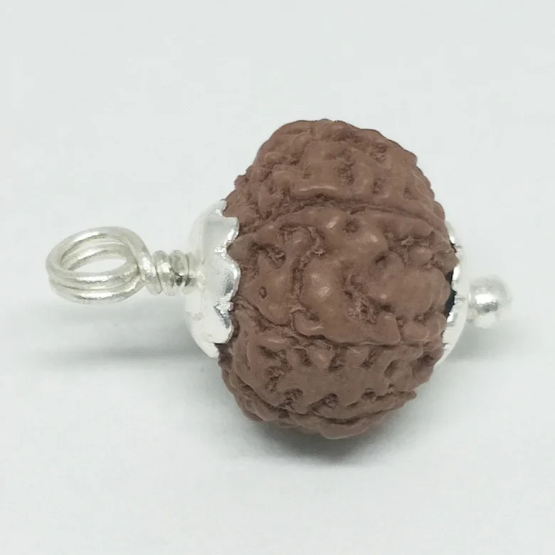 Kaal Sarp Dosh Nivaran Kit - Image 7