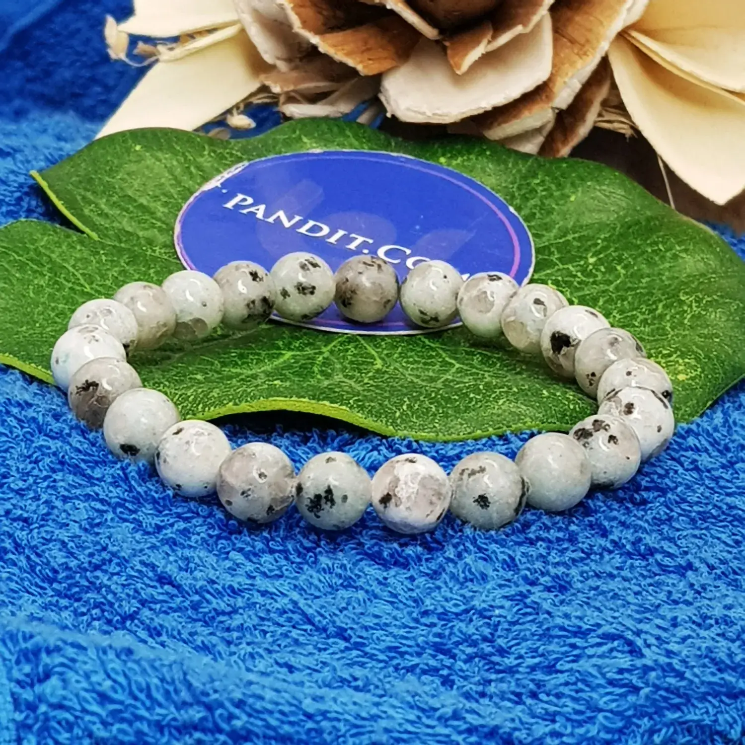 Kiwi Jasper Bracelet - To Leave Bad Habits & Addictions